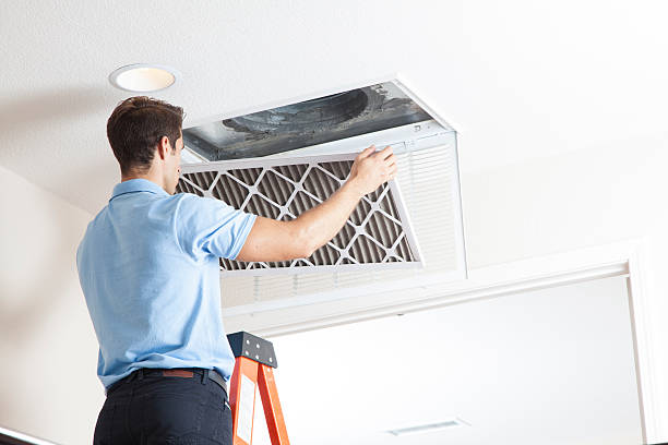 Best HVAC Maintenance Near Me  in Rancho Alegre, TX